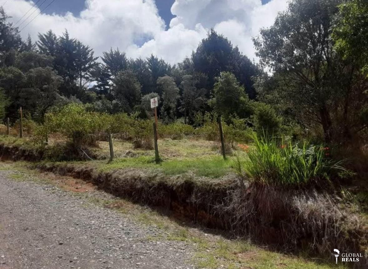 Lote San Gerardo de Dota.Jaboncillo. Ideal para desarrollo turístico.