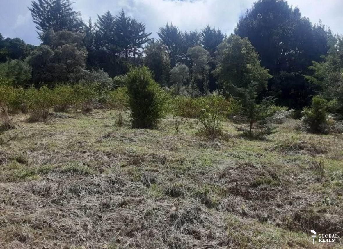 Lote San Gerardo de Dota.Jaboncillo. Ideal para desarrollo turístico.