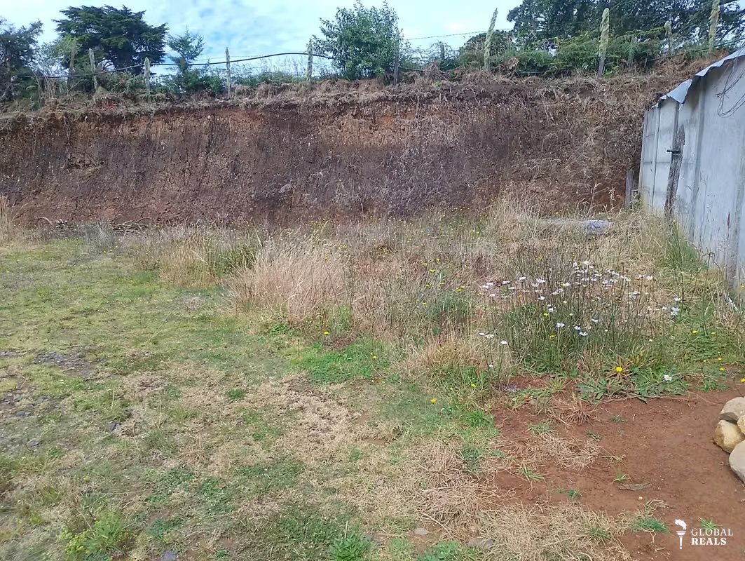 LOTE EN LA TRINIDAD COPEY DOTA 320 M2 18 MILLONES DE COL