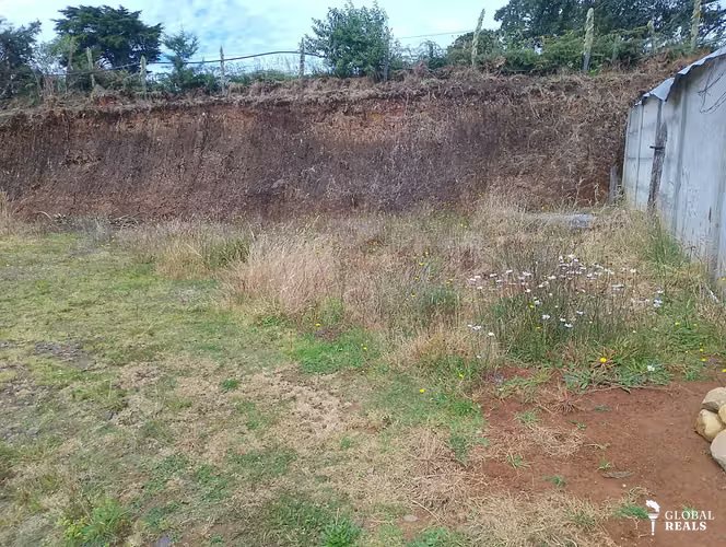 LOTE EN LA TRINIDAD COPEY DOTA 320 M2 18 MILLONES DE COL