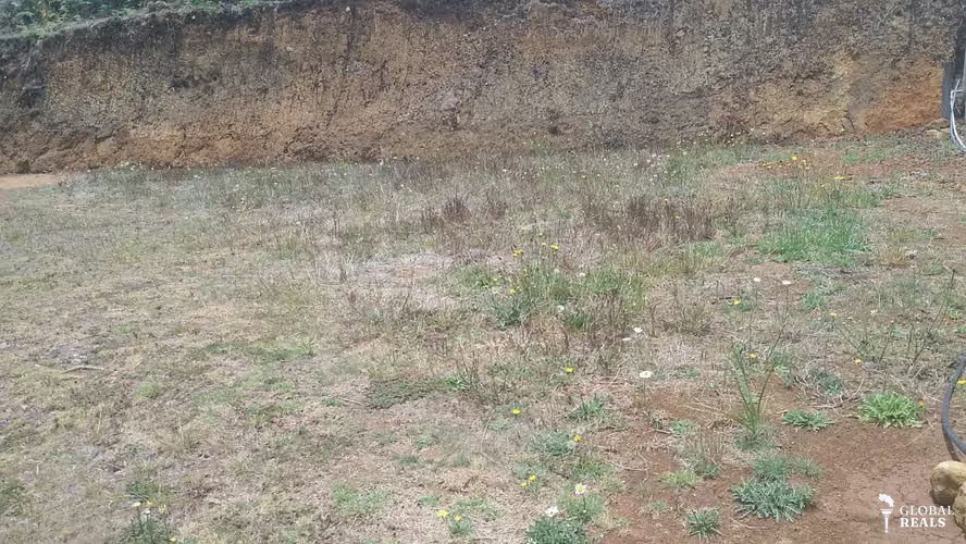 LOTE EN LA TRINIDAD COPEY DOTA 320 M2 18 MILLONES DE COL
