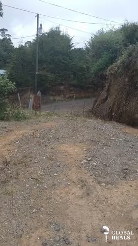 LOTE EN LA TRINIDAD COPEY DOTA 320 M2 18 MILLONES DE COL