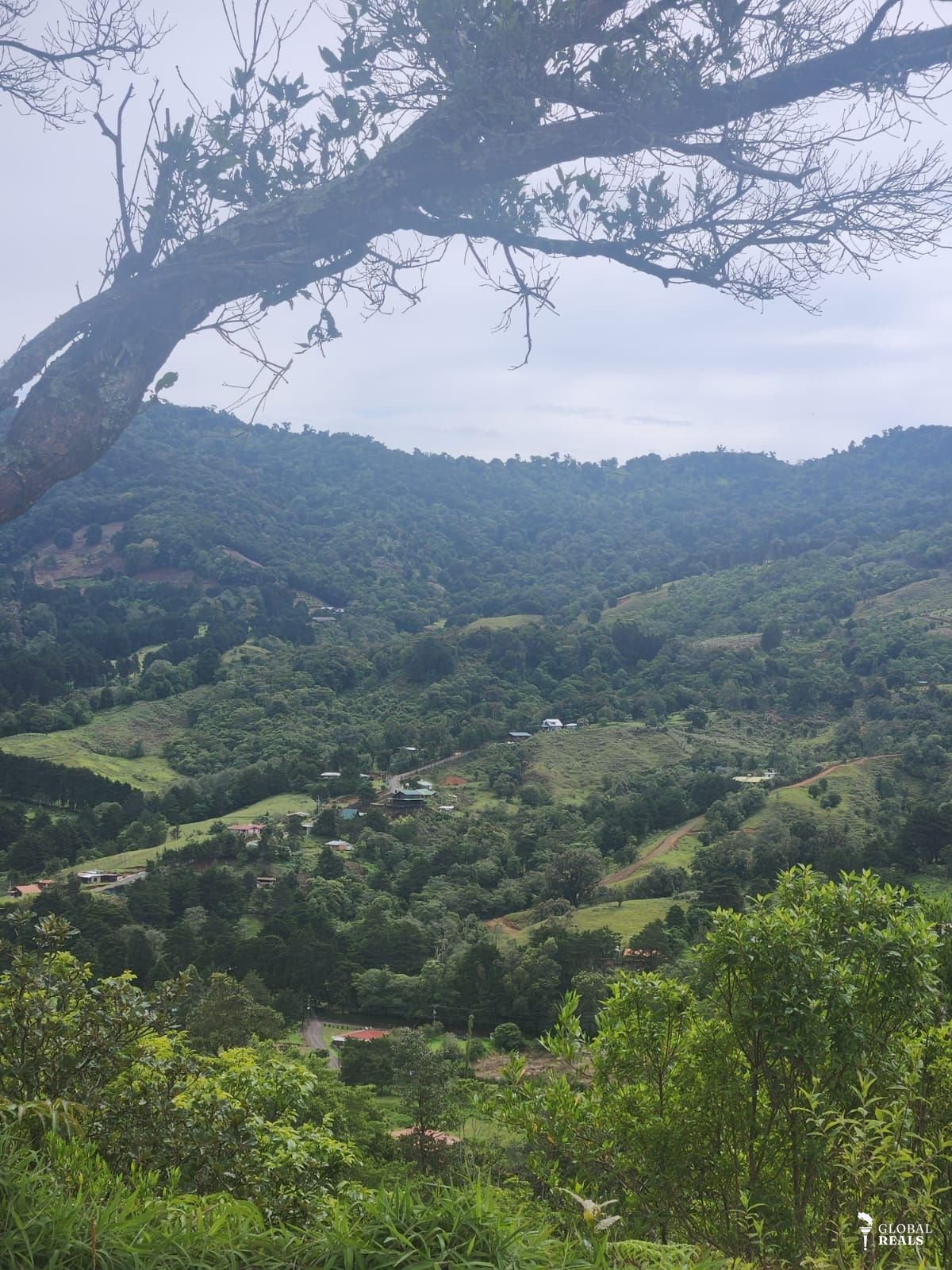 HERMOSO TERRENO PARA QUINTA O CABAÑA EN QUEBRADILLAS  JARDIN DE DOTA 1770 M2 A $ 50 DLS m2
