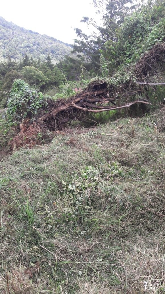 HERMOSO TERRENO PARA QUINTA O CABAÑA EN QUEBRADILLAS  JARDIN DE DOTA 1770 M2 A $ 50 DLS m2
