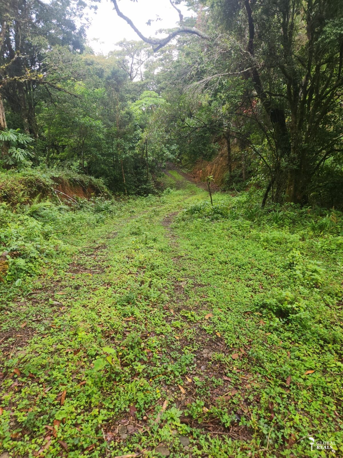HERMOSO TERRENO PARA QUINTA O CABAÑA EN QUEBRADILLAS  JARDIN DE DOTA 1770 M2 A $ 50 DLS m2