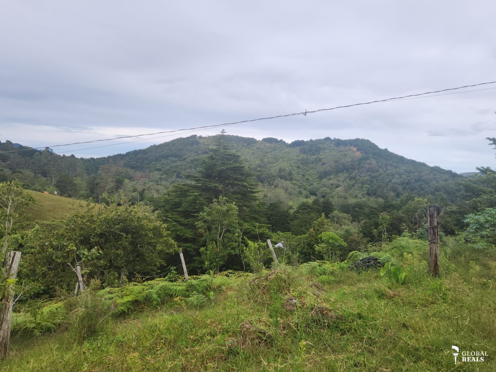 HERMOSO TERRENO PARA QUINTA O CABAÑA EN QUEBRADILLAS  JARDIN DE DOTA 1770 M2 A $ 50 DLS m2