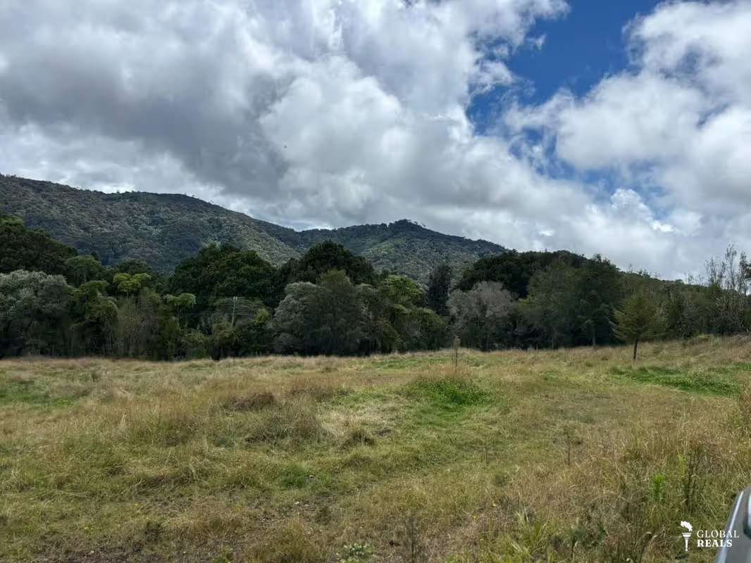 TERRENOS UNICOS DE MONTAÑA EN PARAMO SAN GERARDO DE DOTA 7 HTS