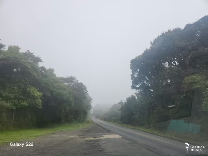 TERRENOS UNICOS DE MONTAÑA EN PARAMO SAN GERARDO DE DOTA 7 HTS