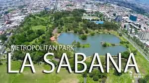 SABANA SUR a 40 mtrs CALLE PERIMETRAL USO MIXTO 1190m2 $800 M2