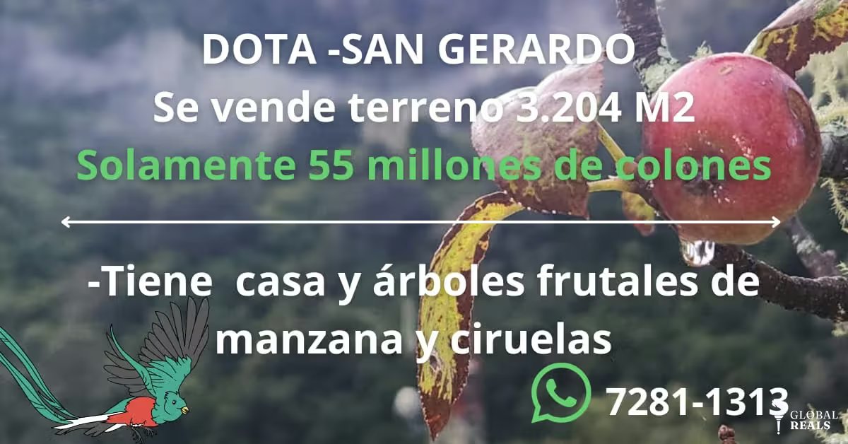 SAN GERARDO DOTA SAVEGRE 3204 M2 , casa de 60 M2 - 55,000,000 COL