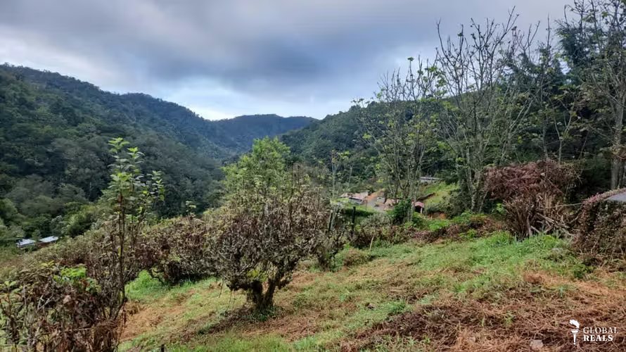 SAN GERARDO DOTA SAVEGRE 3204 M2 , casa de 60 M2 - 55,000,000 COL