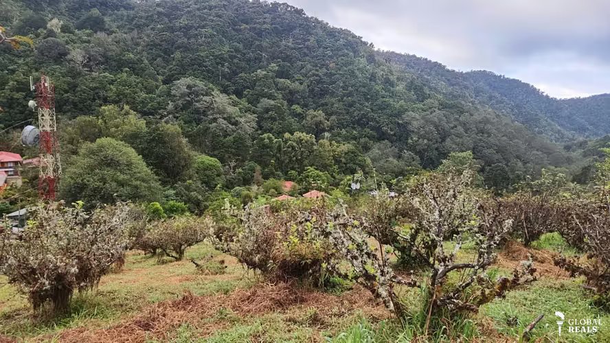 SAN GERARDO DOTA SAVEGRE 3204 M2 , casa de 60 M2 - 55,000,000 COL