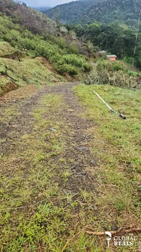 SAN GERARDO DOTA SAVEGRE 3204 M2 , casa de 60 M2 - 55,000,000 COL