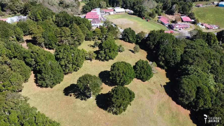 54,123 M2 APTA PARA DESARROLLO DE PROYECTO TURISMO CABANAS ETC