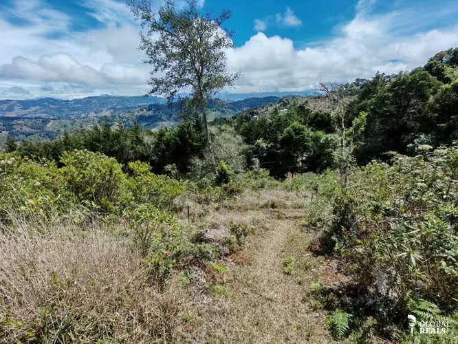 EL CEDRAL, JARDIN DE DOTA 2000 m2 PARA QUINTA -CABAÑA c/ SERVS. 44 millones de col.