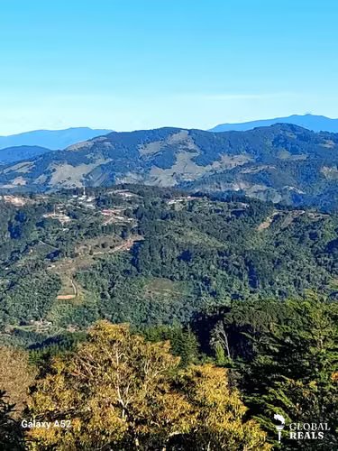 EL CEDRAL, JARDIN DE DOTA 2000 m2 PARA QUINTA -CABAÑA c/ SERVS. 44 millones de col.