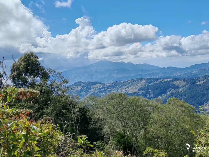 EL CEDRAL, JARDIN DE DOTA 2000 m2 PARA QUINTA -CABAÑA c/ SERVS. 44 millones de col.