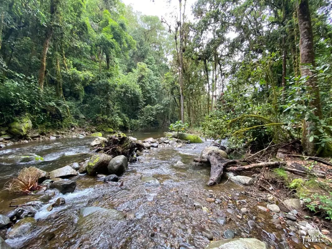 UNICO!! A ORILLAS DE RIO SAVEGRE ,SAN GERARDO DE DOTA C/ SERVS. 11,976 M2