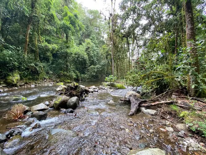 UNICO!! A ORILLAS DE RIO SAVEGRE ,SAN GERARDO DE DOTA C/ SERVS. 11,976 M2