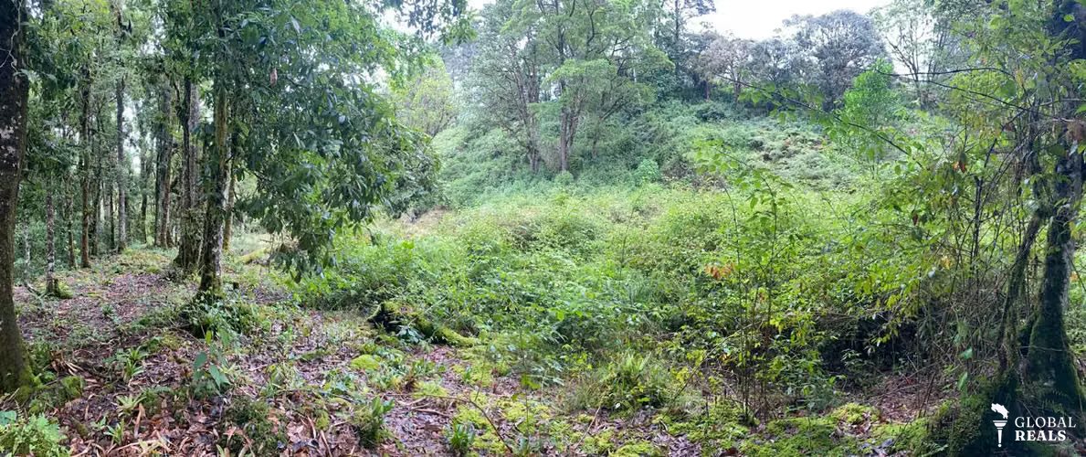 UNICO!! A ORILLAS DE RIO SAVEGRE ,SAN GERARDO DE DOTA C/ SERVS. 11,976 M2