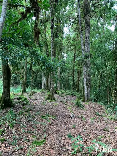 UNICO!! A ORILLAS DE RIO SAVEGRE ,SAN GERARDO DE DOTA C/ SERVS. 11,976 M2