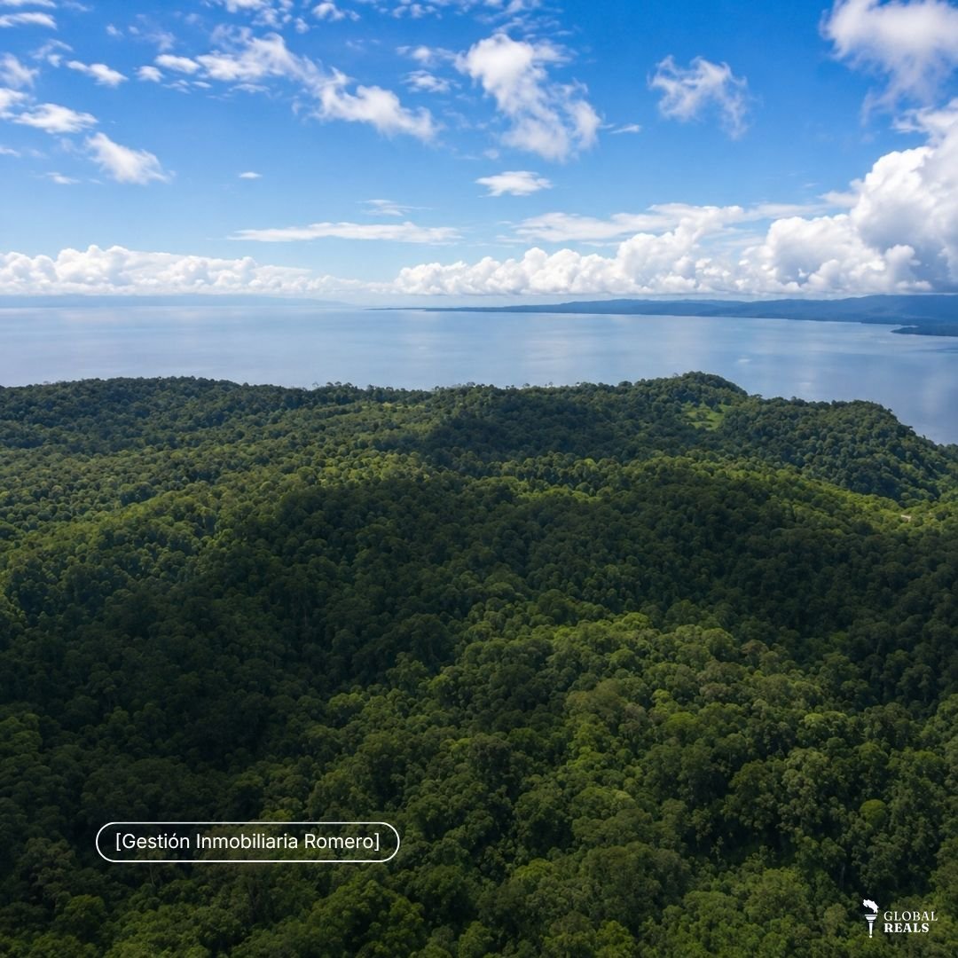 Terreno en venta en Sierpe, Puntarenas - 150.5 hectáreas frente a Reserva Forestal Golfo Dulce, Playa Chal