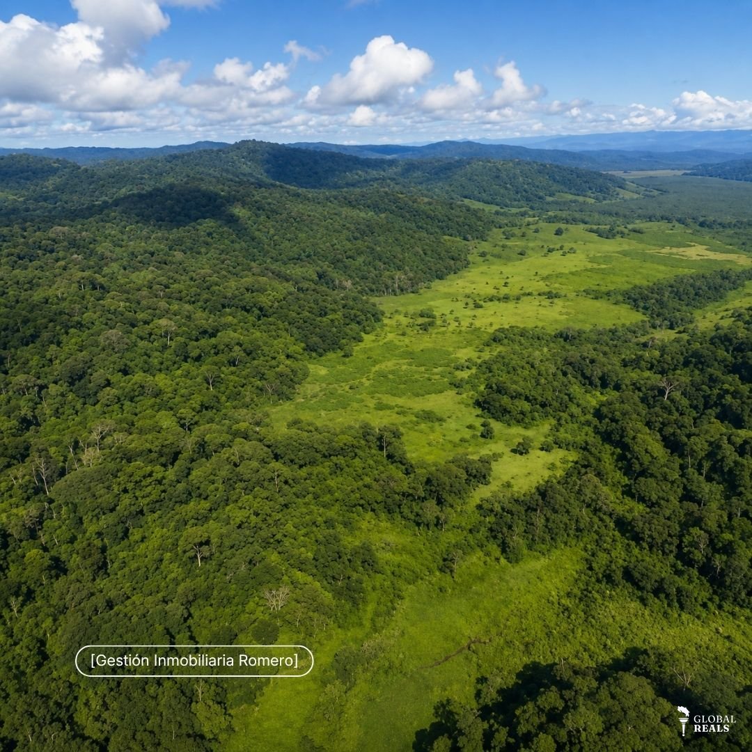 Terreno en venta en Sierpe, Puntarenas - 150.5 hectáreas frente a Reserva Forestal Golfo Dulce, Playa Chal