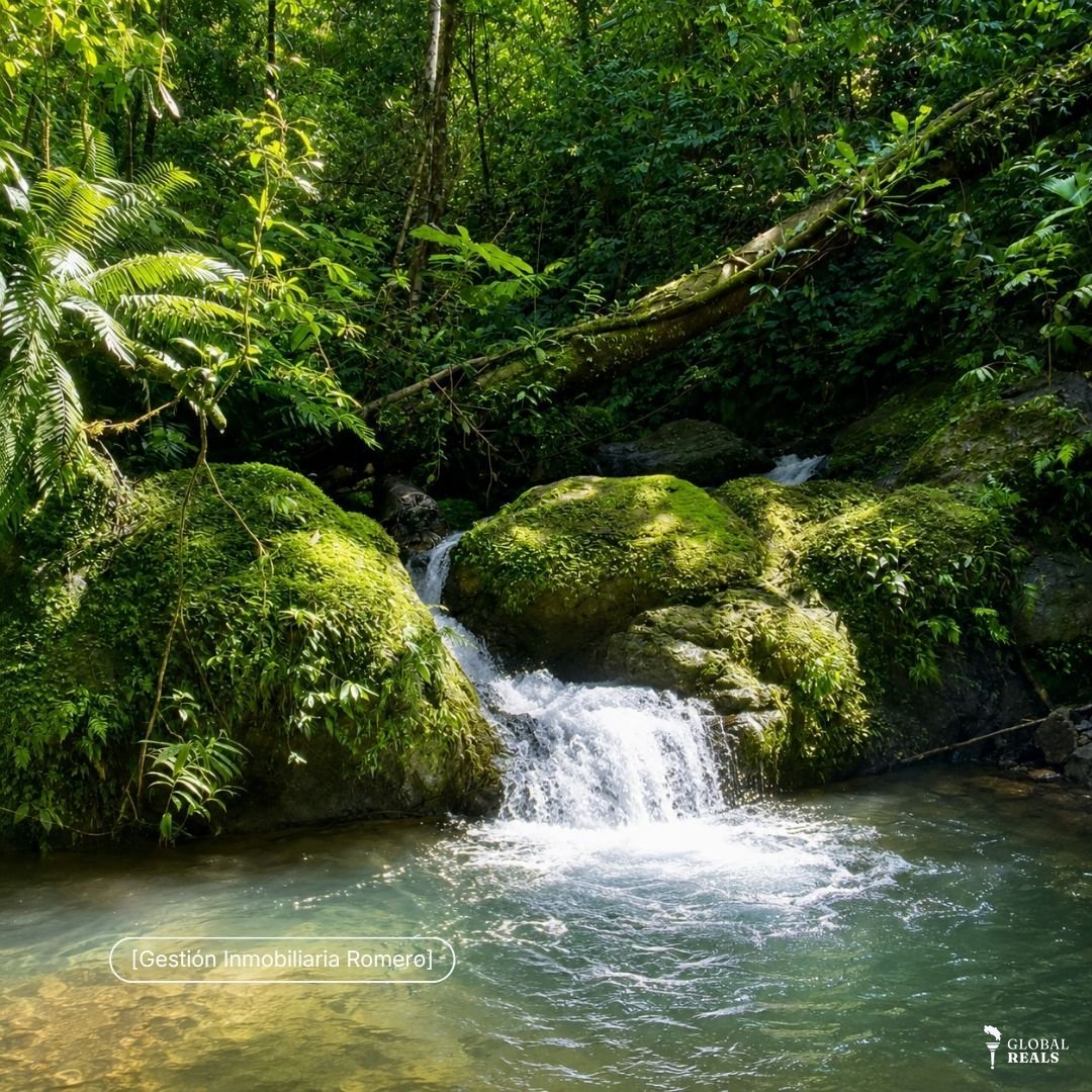 Terreno en venta en Sierpe, Puntarenas - 150.5 hectáreas frente a Reserva Forestal Golfo Dulce, Playa Chal