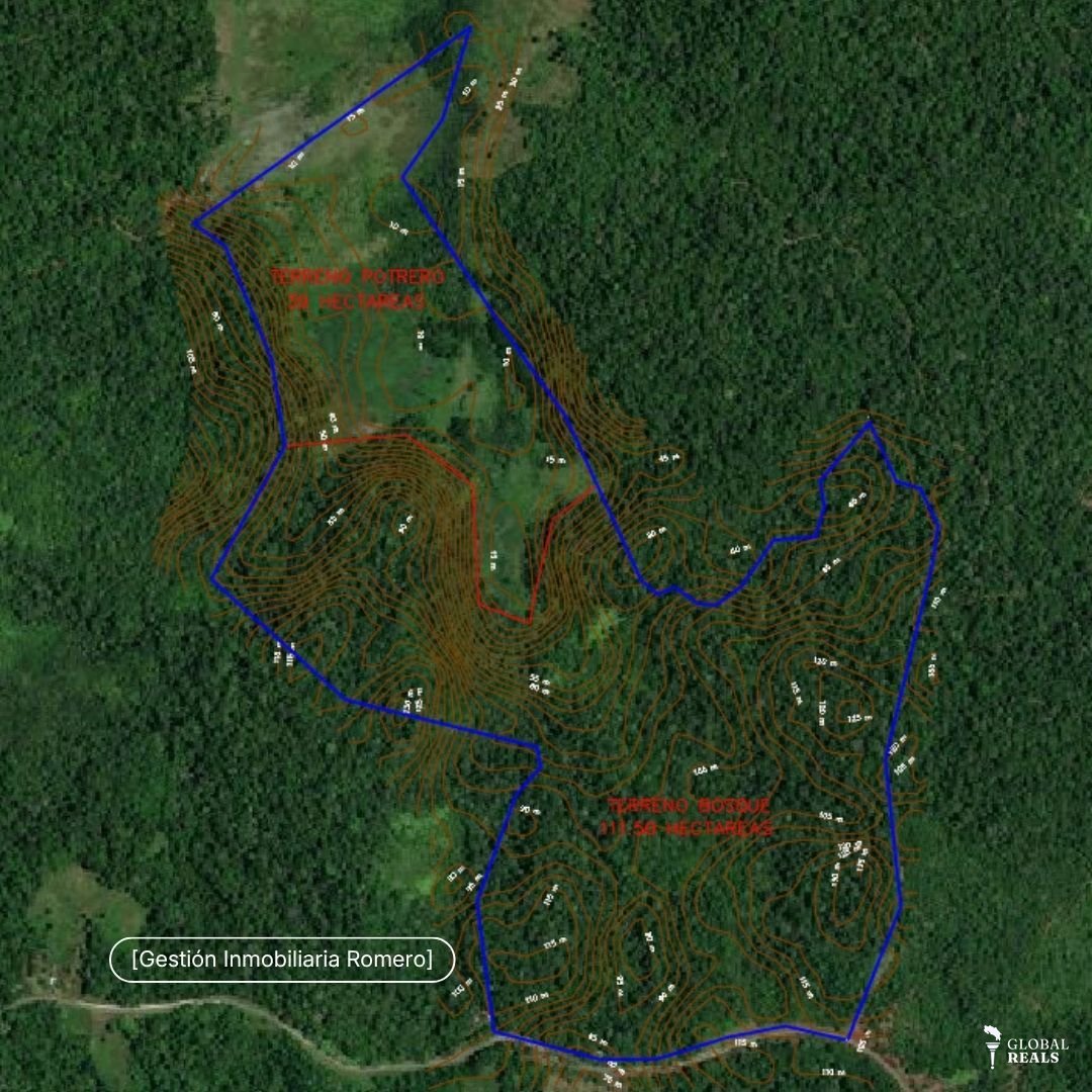 Terreno en venta en Sierpe, Puntarenas - 150.5 hectáreas frente a Reserva Forestal Golfo Dulce, Playa Chal