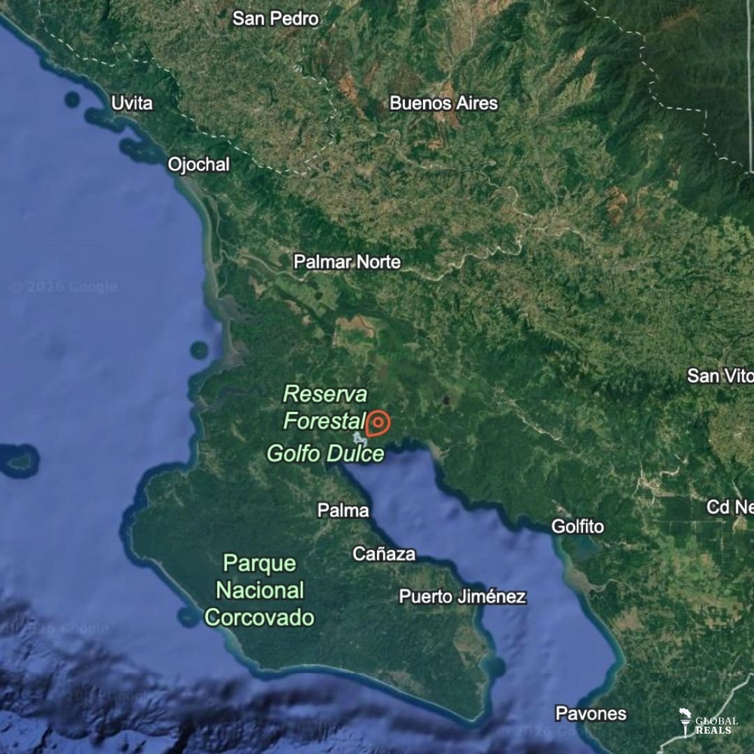 Terreno en venta en Sierpe, Puntarenas - 150.5 hectáreas frente a Reserva Forestal Golfo Dulce, Playa Chal