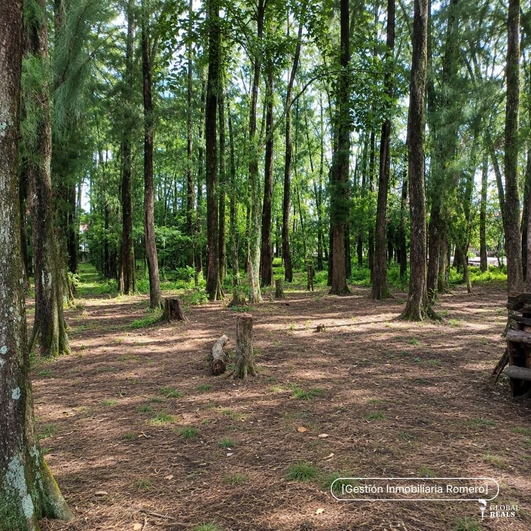 Terreno en venta en Guachipelín, Escazú - 4.991 m²