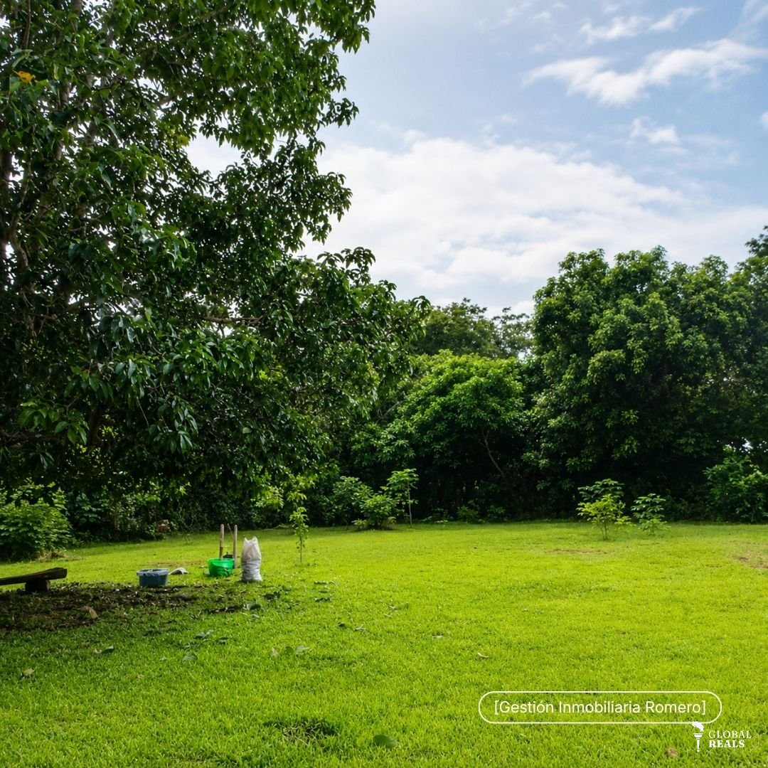 Terreno en venta en San Mateo, Alajuela - 1.000 m² Plano