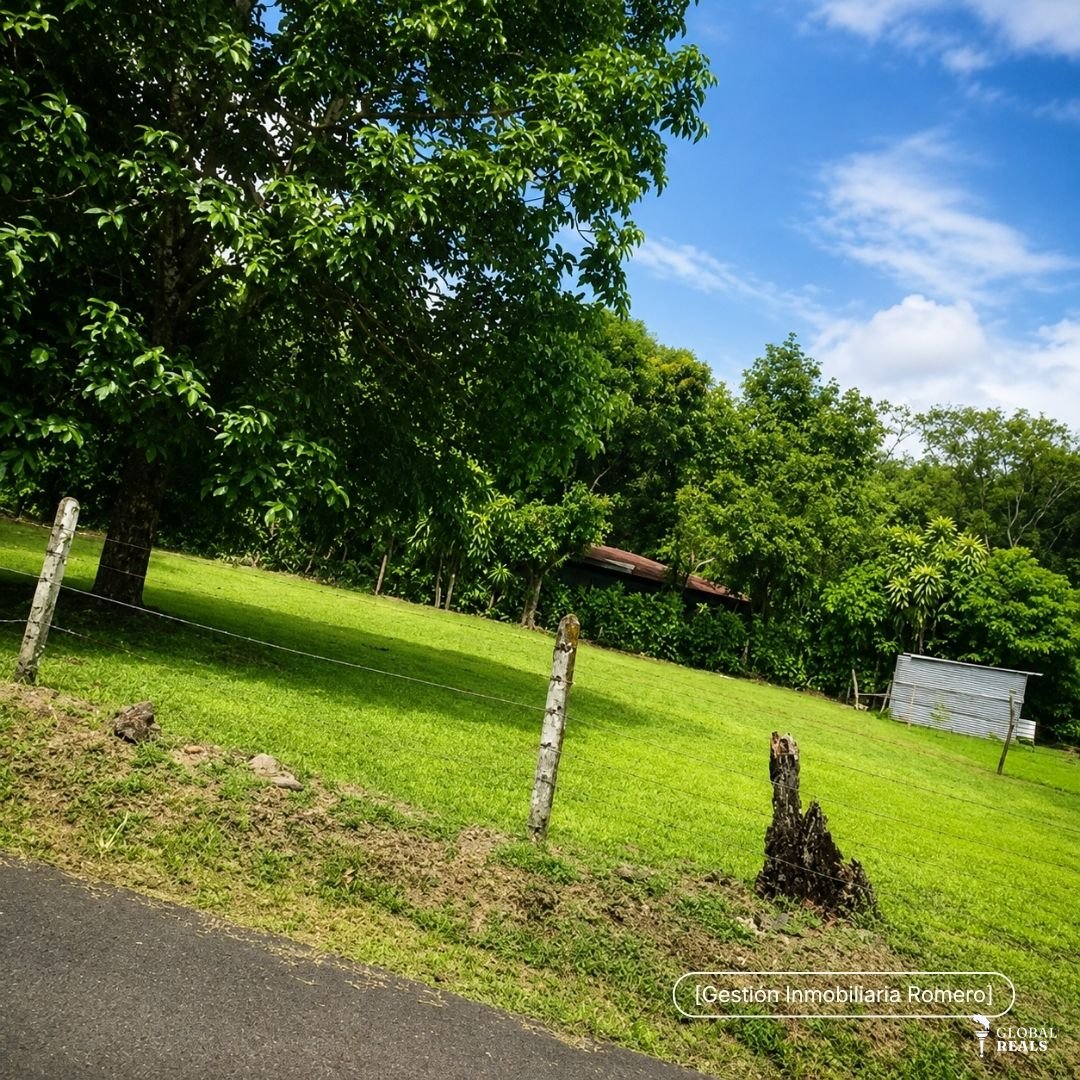 Terreno en venta en San Mateo, Alajuela - 1.000 m² Plano