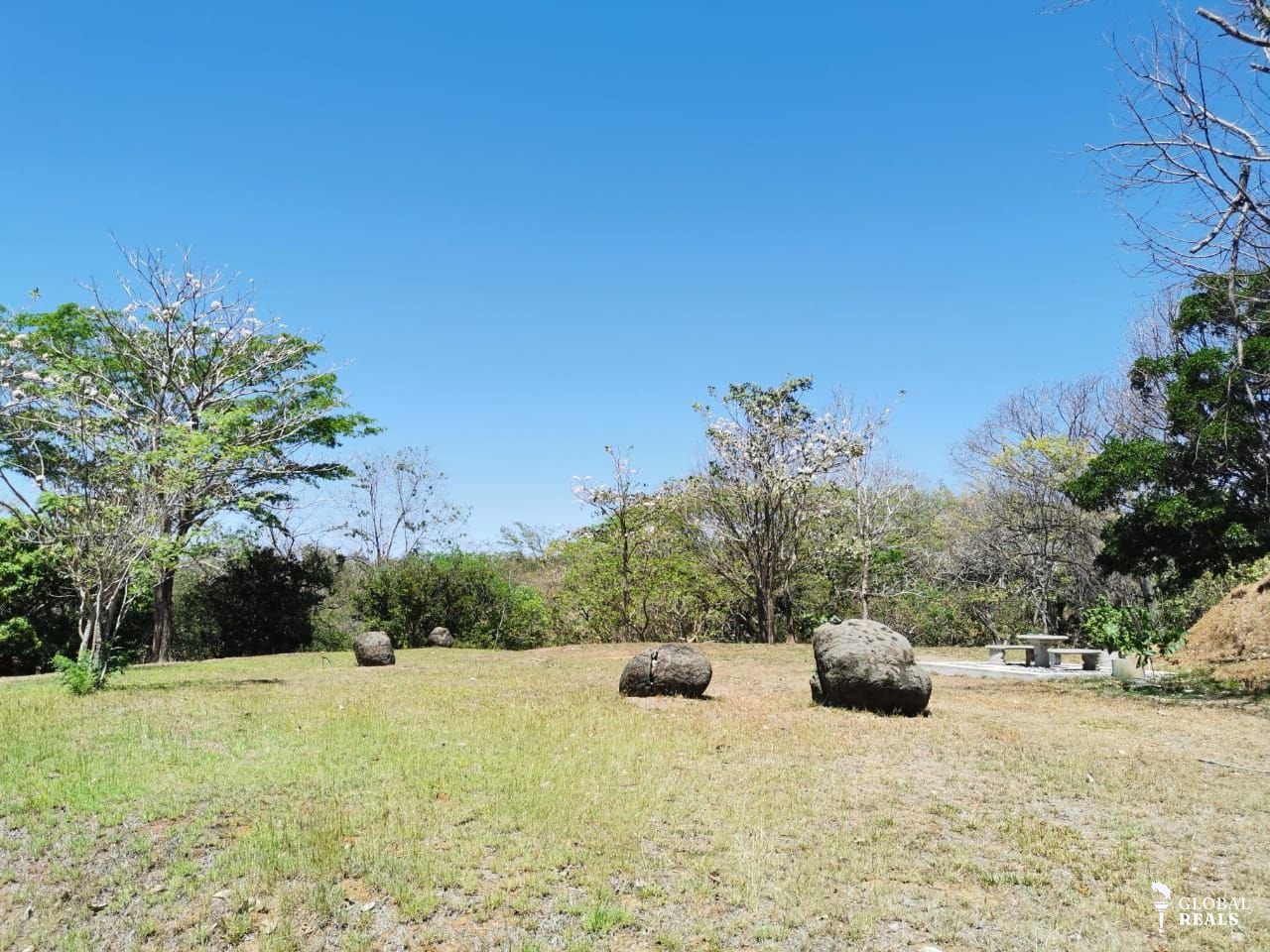 Finca de 3.58 hectáreas en Esparza: patrimonio, naturaleza y conectividad.