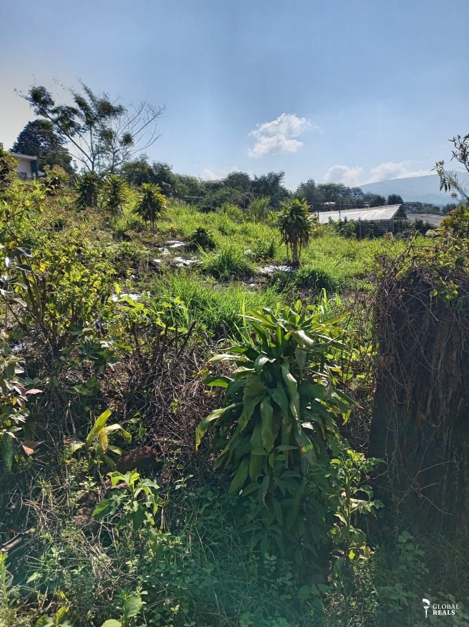 Sabana redonda