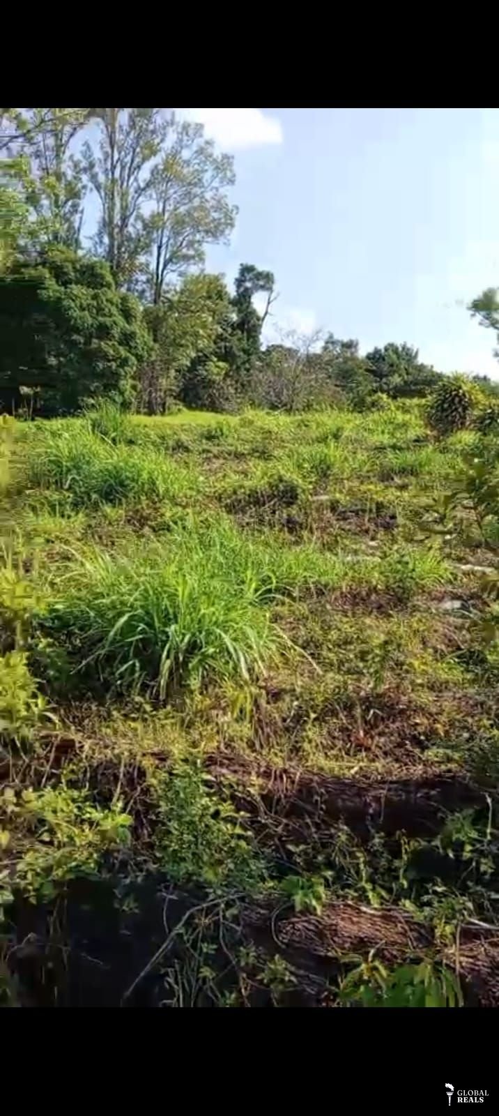 Sabana redonda
