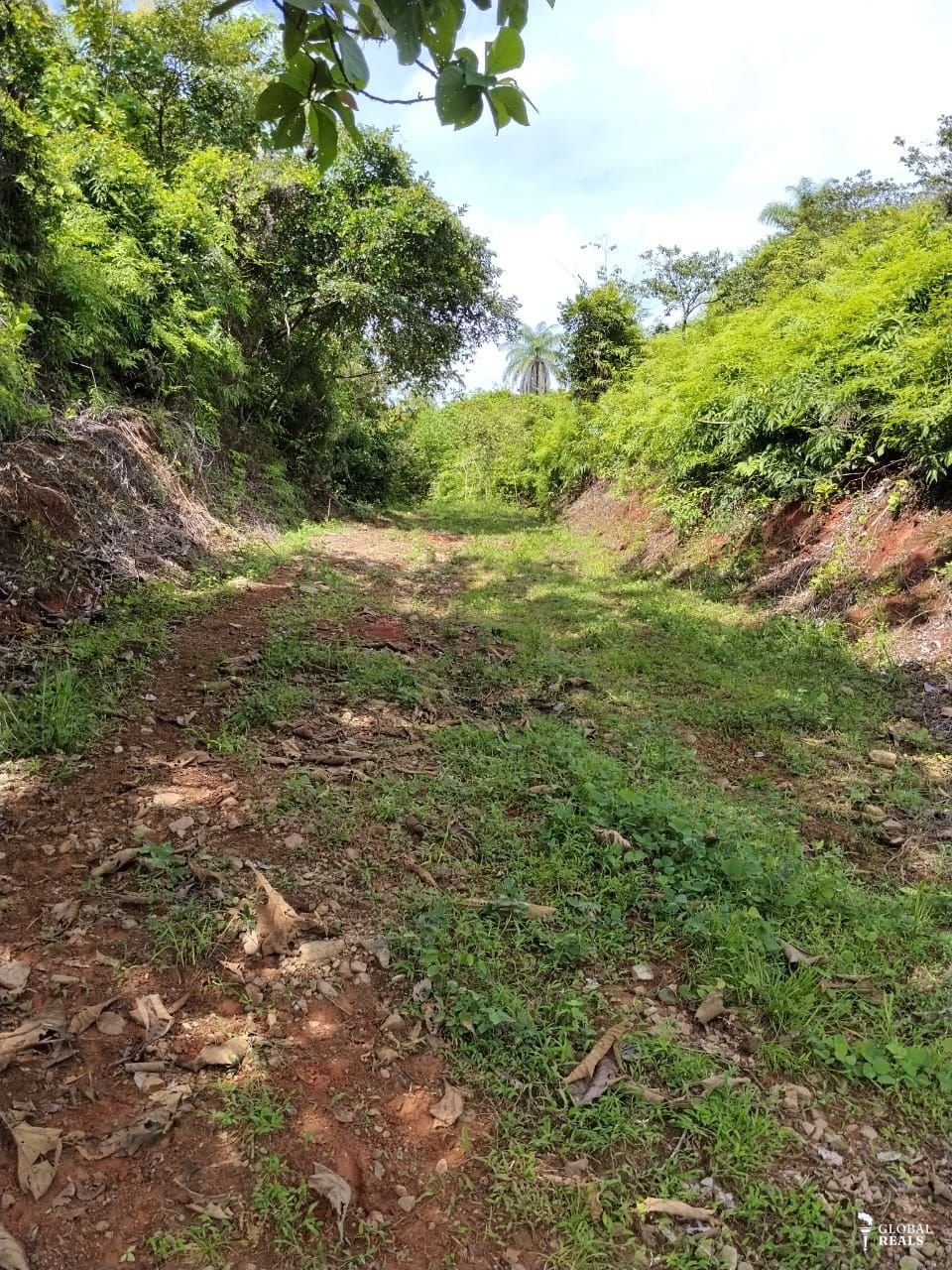 🌿🏡 **¡GRAN OPORTUNIDAD DE INVERSIÓN EN SAN BUENAS, DESPUÉS DE CORONADO DE OSA! ** 🏡🌿