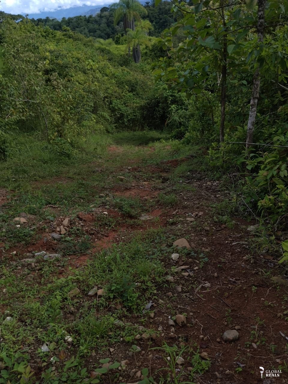 🌿🏡 **¡GRAN OPORTUNIDAD DE INVERSIÓN EN SAN BUENAS, DESPUÉS DE CORONADO DE OSA! ** 🏡🌿