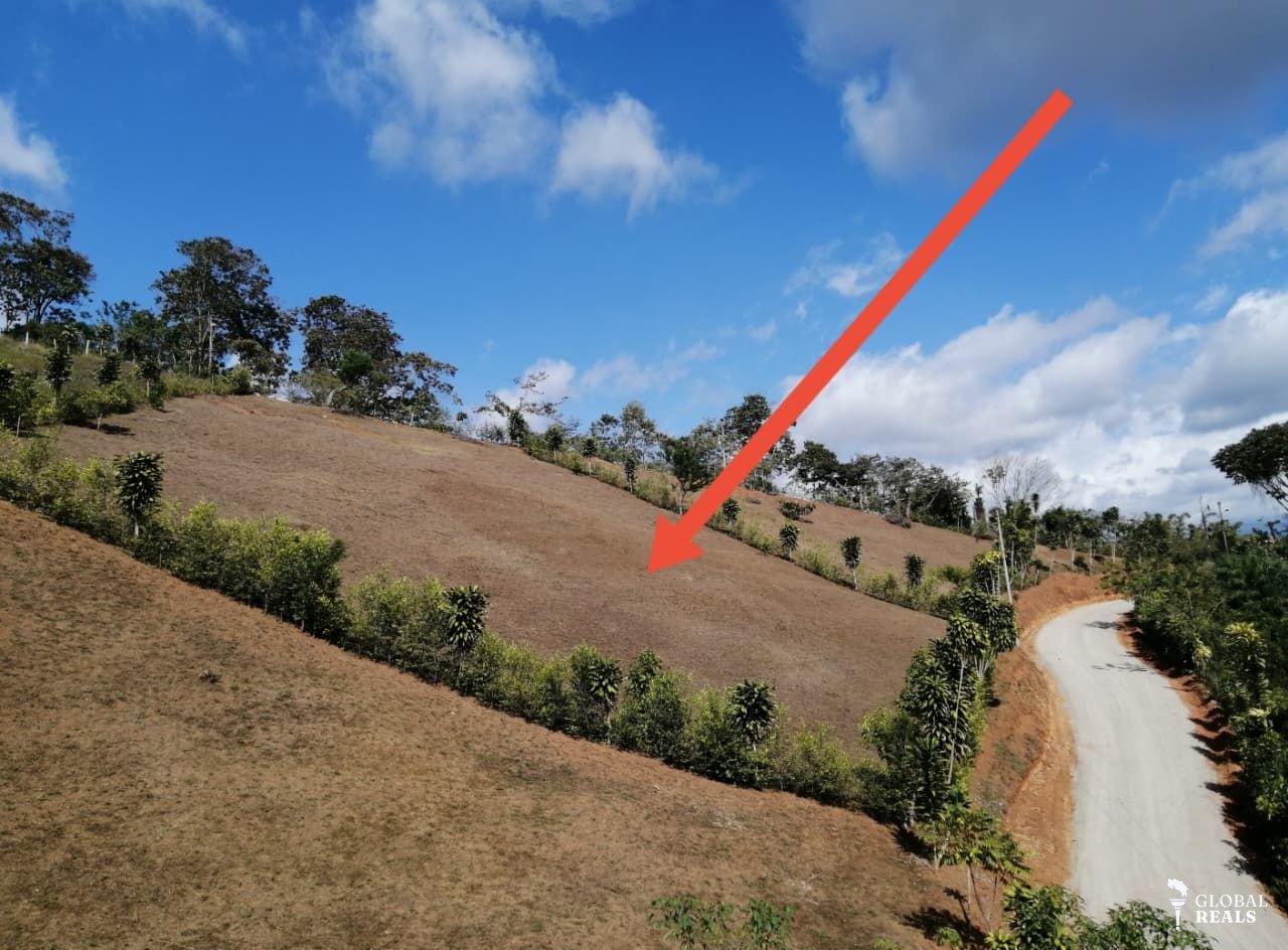 🏡🌿 **¡Se vende hermoso lote en San Valentín! ** 🌿🏡