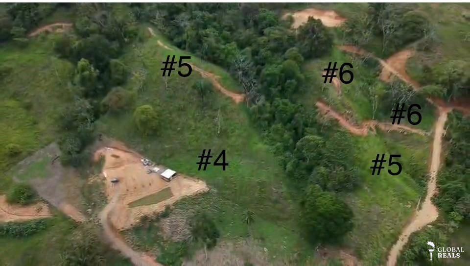 🌿 **1 Hectare Property for Sale in Barú de Planillo, Pérez Zeledón, Costa Rica** 🌿