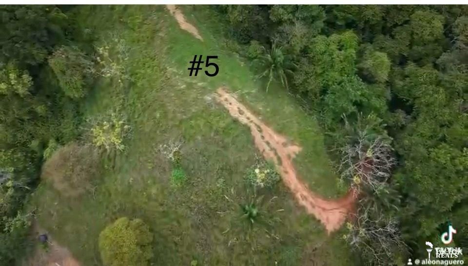 🌿 **1 Hectare Property for Sale in Barú de Planillo, Pérez Zeledón, Costa Rica** 🌿