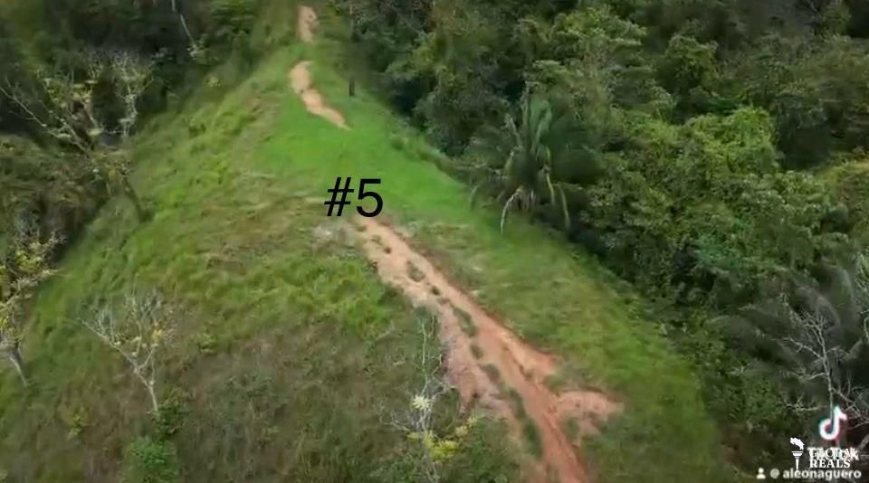 🌿 **1 Hectare Property for Sale in Barú de Planillo, Pérez Zeledón, Costa Rica** 🌿