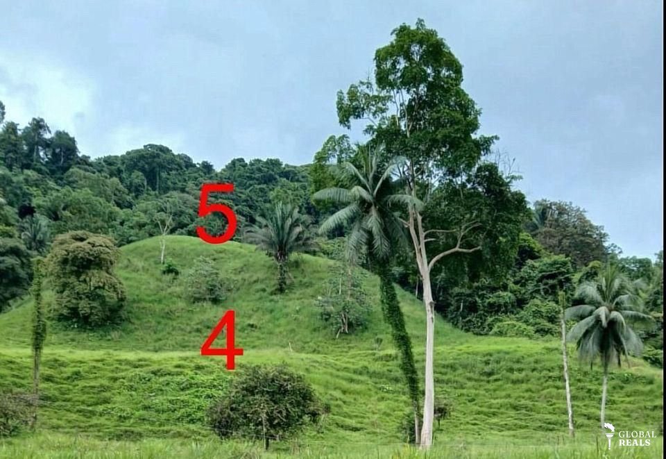 🌿 **1 Hectare Property for Sale in Barú de Planillo, Pérez Zeledón, Costa Rica** 🌿