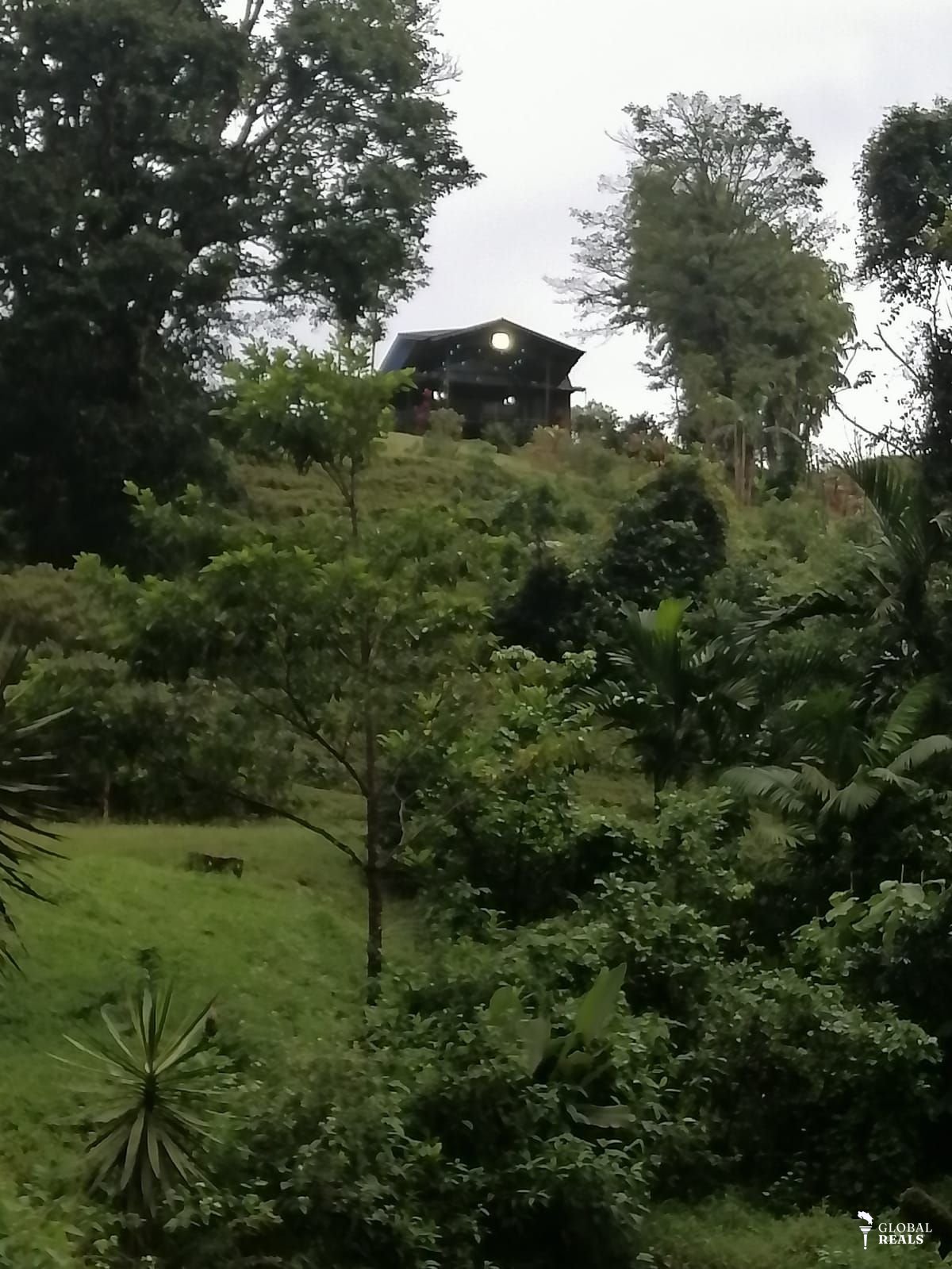 Lake Arenal gardens