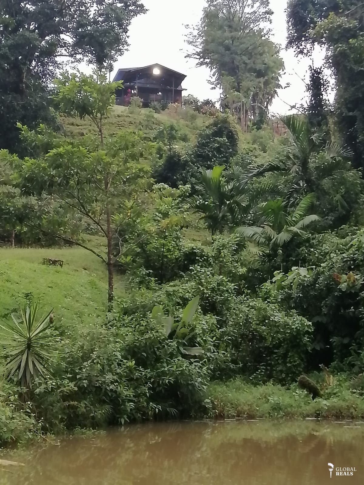 Lake Arenal gardens