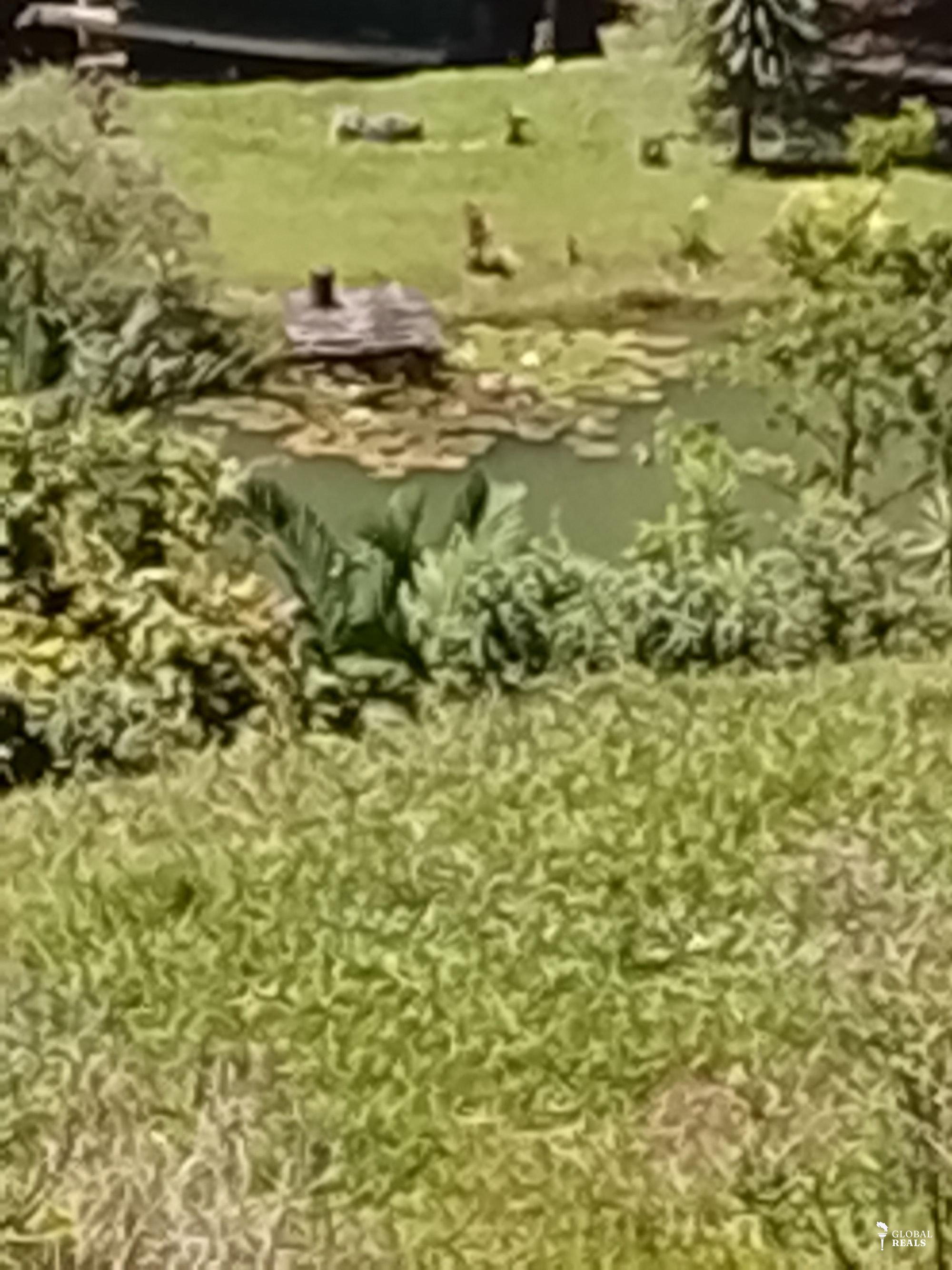 Lake Arenal gardens