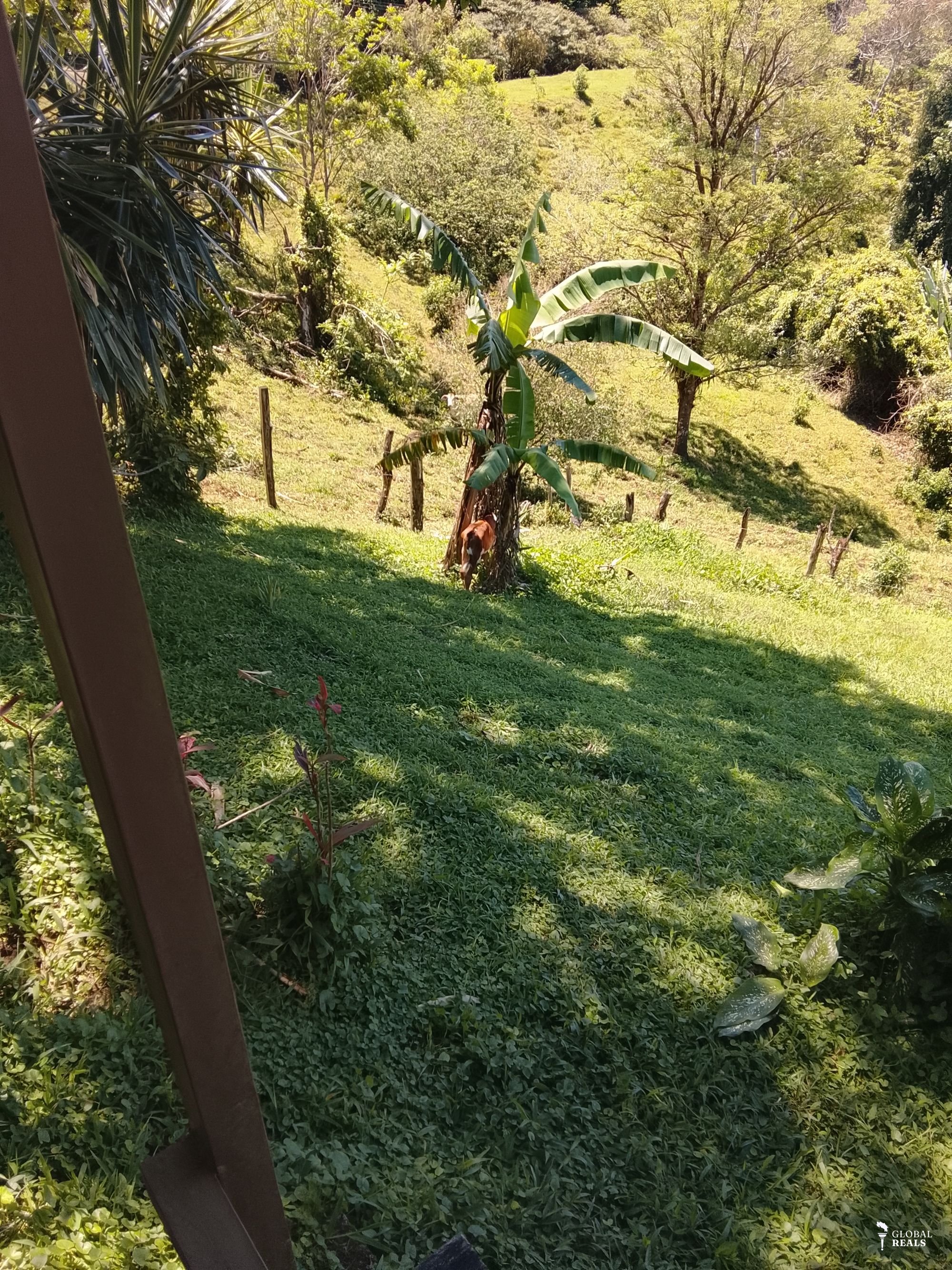 Lake Arenal gardens