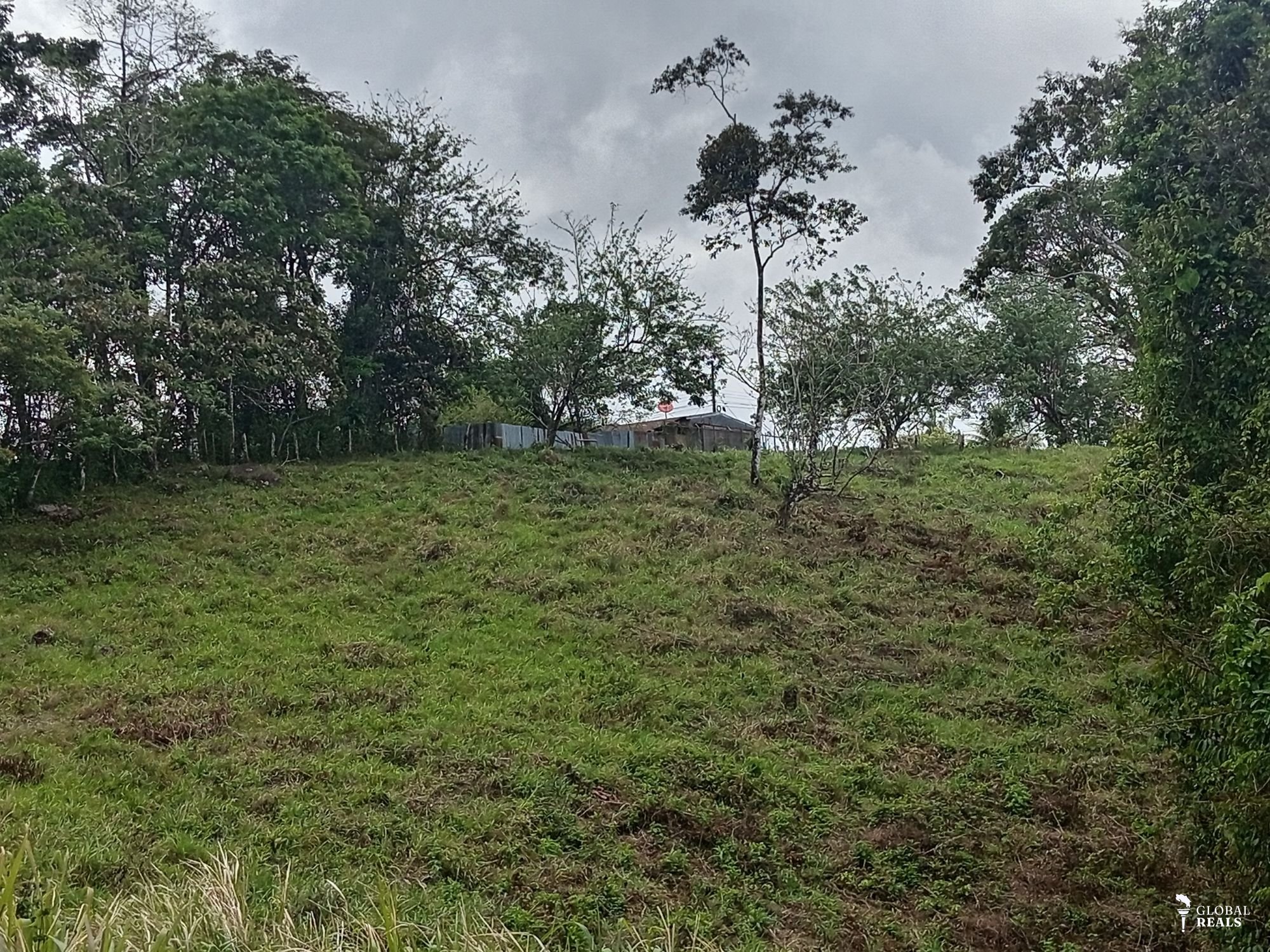 Se vende finca de 12.5 hectáreas valor 8 millones por hectárea