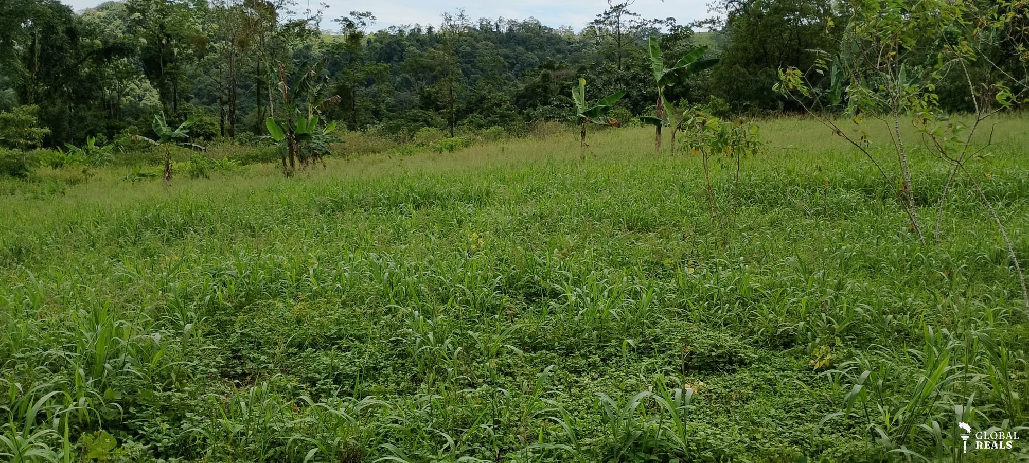 Propiedad en El Bosque