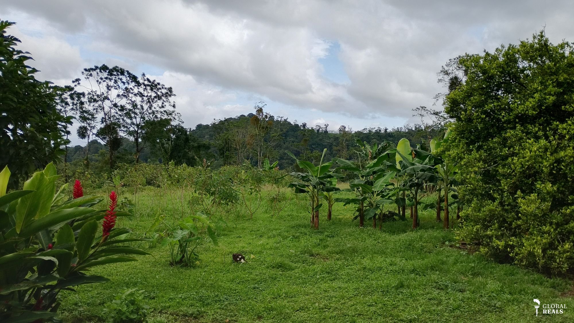 Propiedad en El Bosque